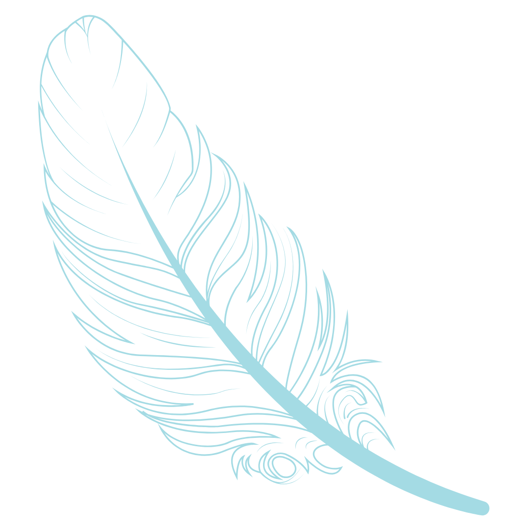 feather (4)